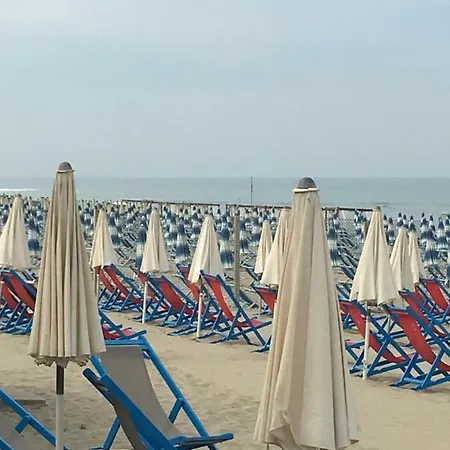 Il Cavallino * Tirrenia